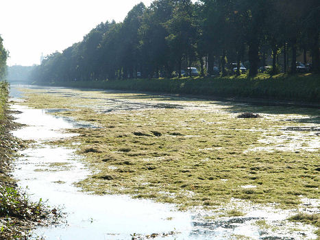 7. September 2005: Es tut sich was, der Ny. Kanal wird abgelassen und soll nun gründlich gereinigt werden.
